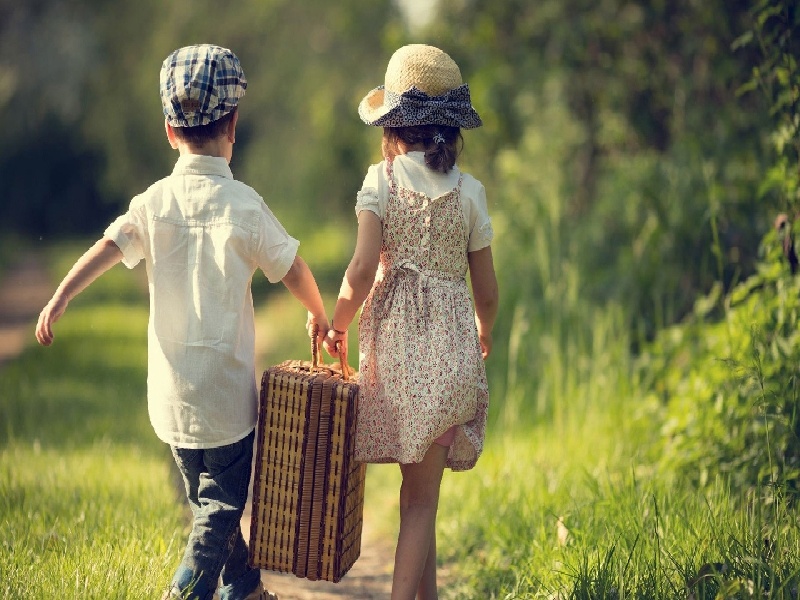 试管甲状tsh(试管方案可以自己要求)